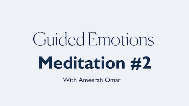 13MIN GUIDED EMOTIONS #2 MEDITATION