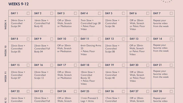 Prenatal Program Calendar Weeks 9-12
