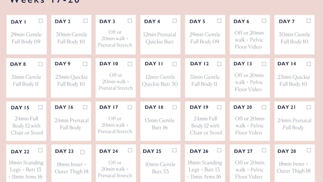 Prenatal Program Weeks 17-20