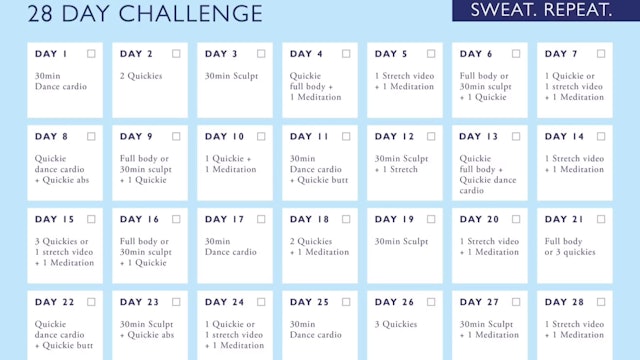 28 DAY STAY AT HOME CHALLENGE 