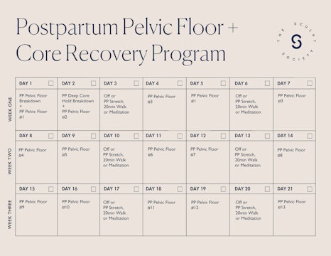 PP Pelvic Floor + Core Recovery Program Weeks 1-3