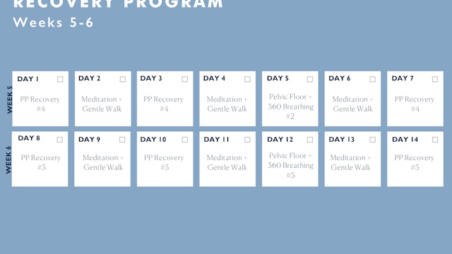 PP Pelvic Floor + Core Recovery Program Calendar Weeks-5-6