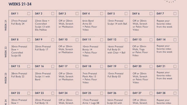 Prenatal Program Calendar Weeks 21-24