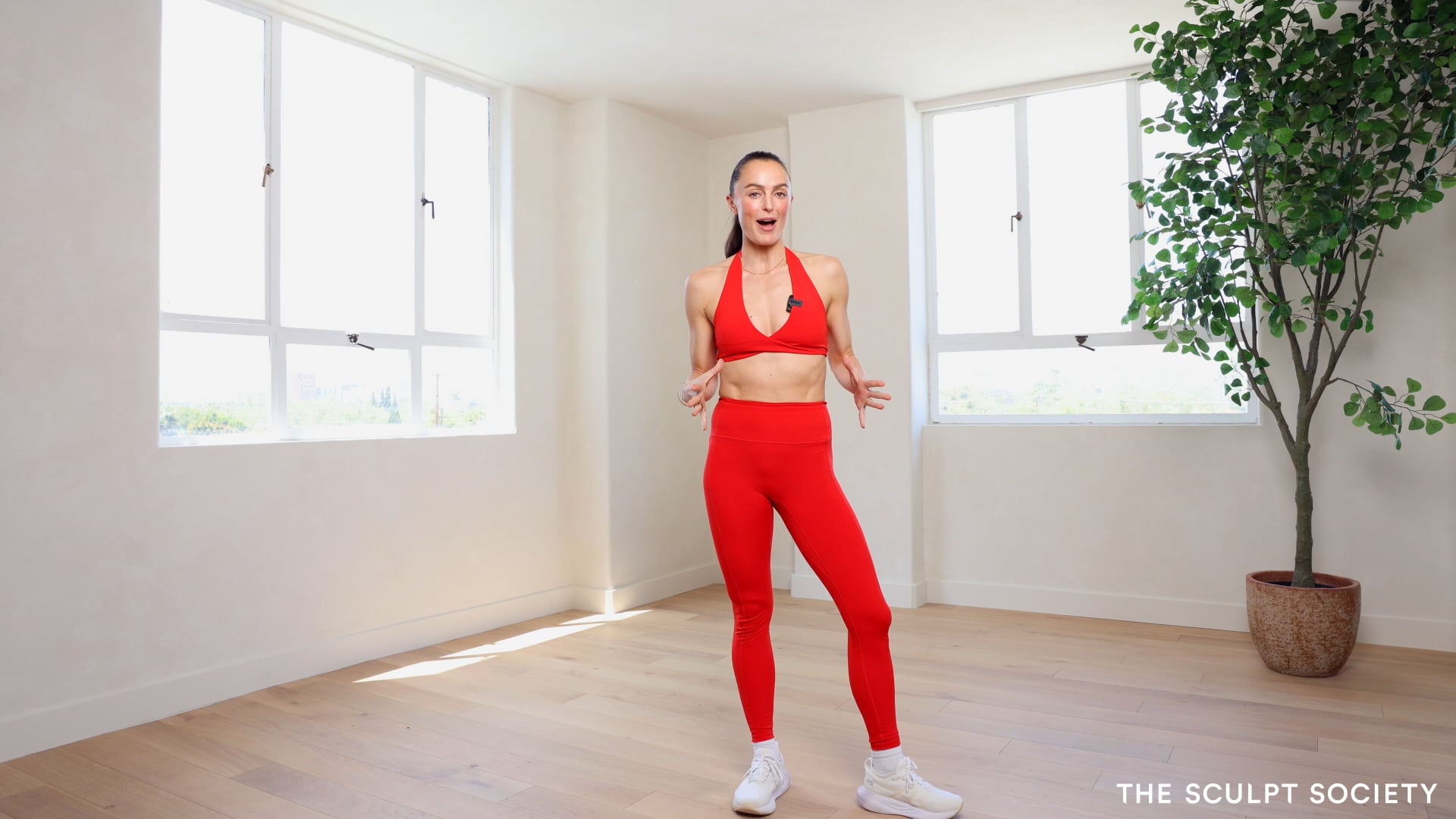 TSS 101- 20MIN SLOW + CONTROLLED FULL BODY