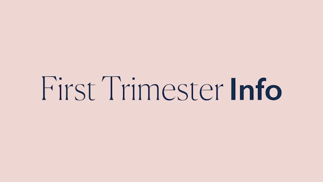 1st trimester intro