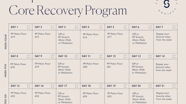 PP Pelvic Floor + Core Recovery Program Weeks 4-6