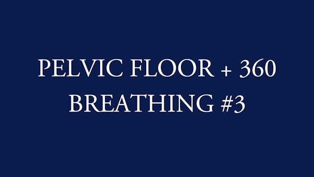PF + 360 BREATHING CIRCUIT #3