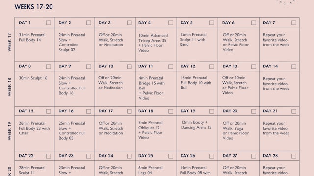 Prenatal Program Calendar Weeks 17-20