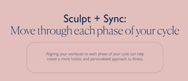Phases of Your Cycle + Program Benefits