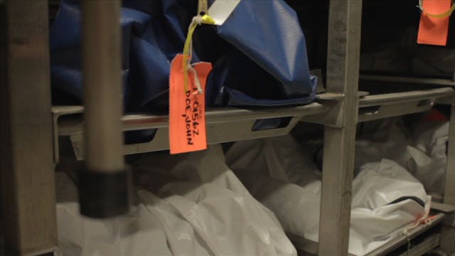 La Segunda Nevera Trailer Oficial