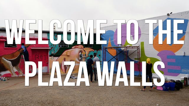 Welcome to the Plaza Walls