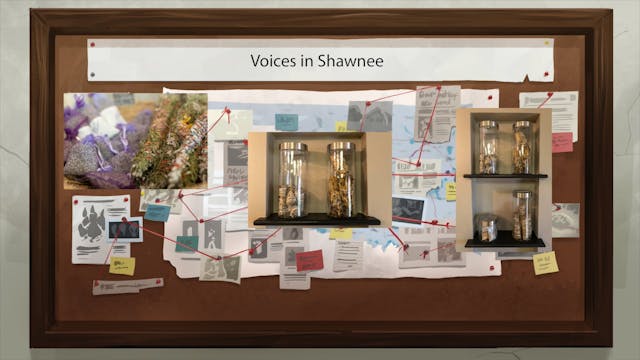 Voices in Shawnee