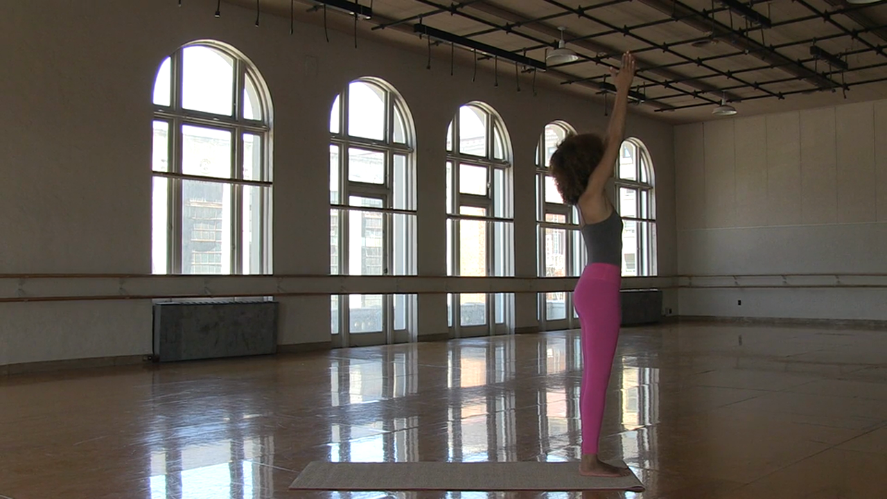 The SOUL YOGA Project TRAILER