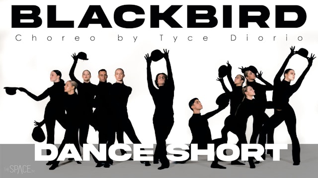 Dance Short: "Blackbird" / Choreography by Tyce Diorio 
