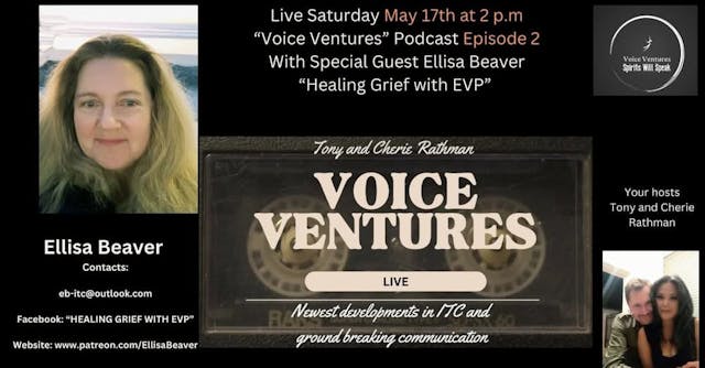 Voice Ventures episode 2 With Ellisa ...