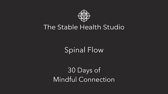 Spinal flow