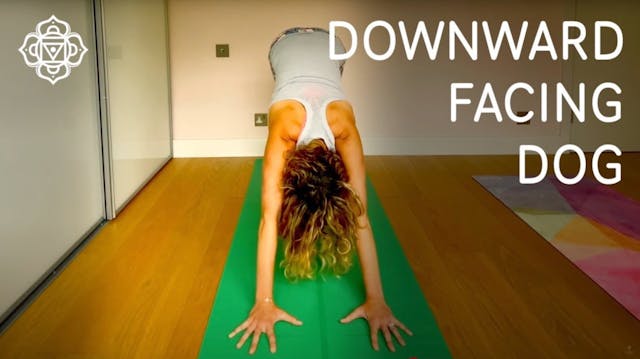 Unlock the Secrets of Downward Dog: S...