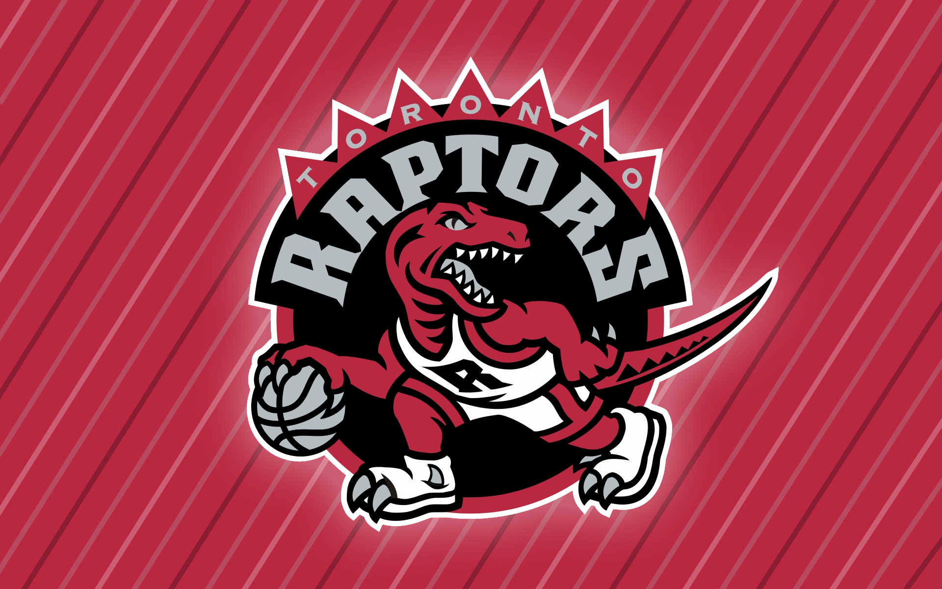 Toronto Raptors Team Collection (1st Edition)