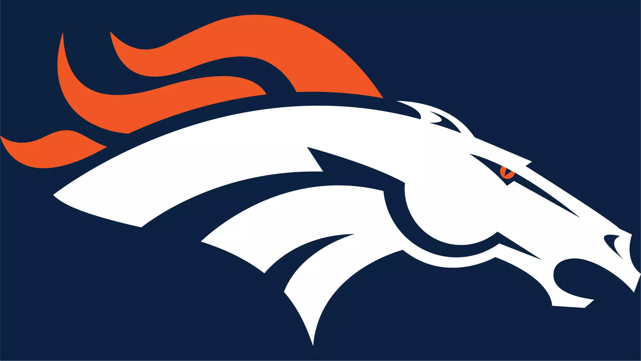 Denver Broncos Team Collection (1st Edition)