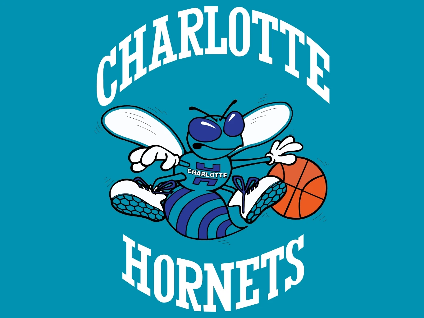 Charlotte Hornets Team Collection (1st Edition)