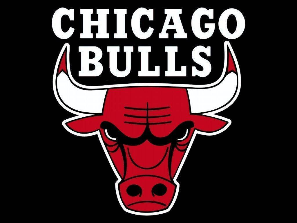 Chicago Bulls Team Collection (1st Edition)