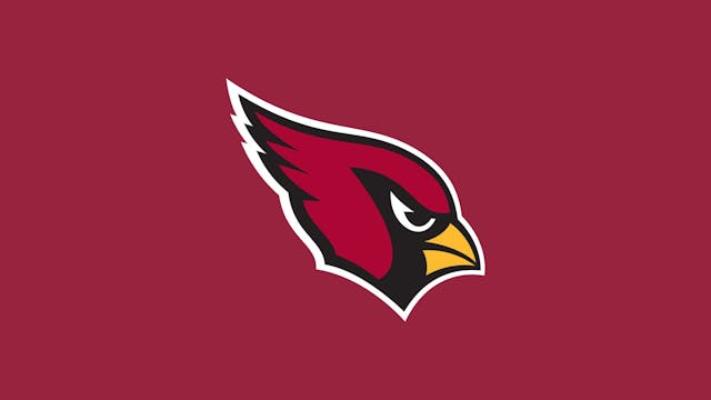 Arizona Cardinals Team Collection (1s...