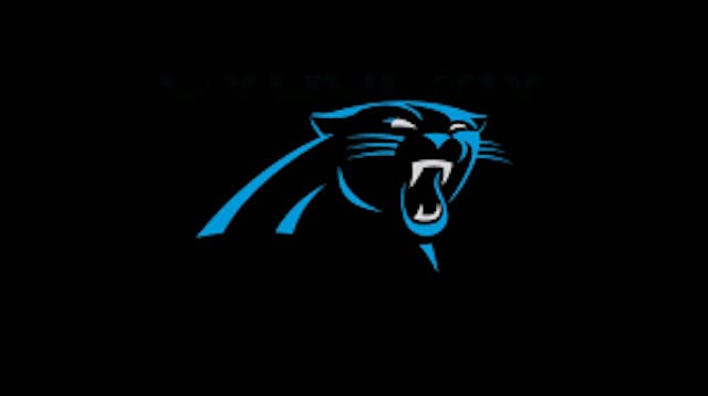 Carolina Panthers Team Collection (1s...