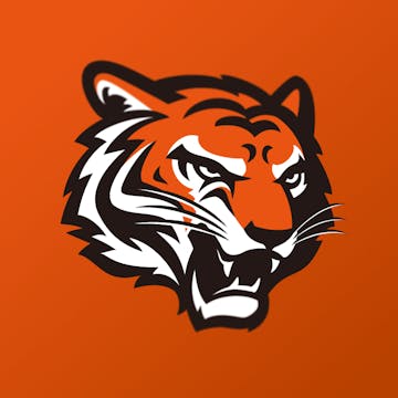 Cincinnati Bengals Team Collection (1...