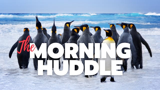 The Morning Huddle