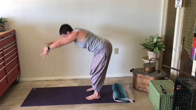 15 minute intentional yoga with Tarra