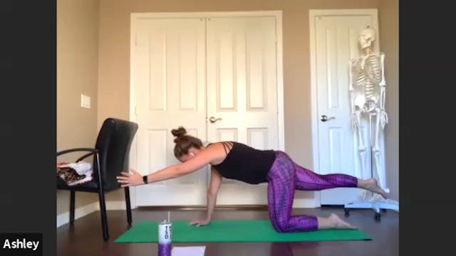 7/2 Foundation - Ashley