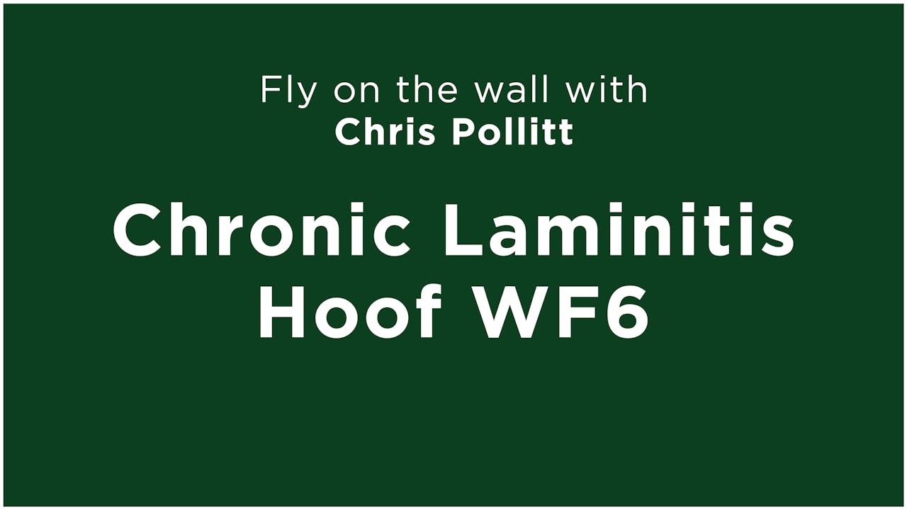 Chronic Laminitis | Hoof WF6 with Chris Pollitt