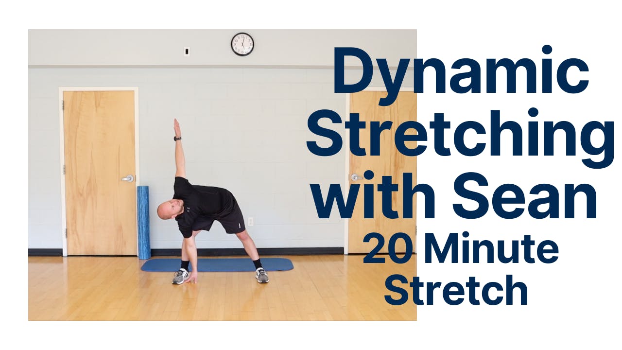 Dynamic Stretch 