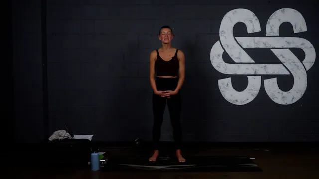 High + Tight Darcey 6.39