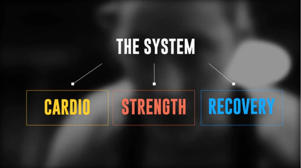 SYSTEM OF STRENGTH - DIGITAL STUDIO
