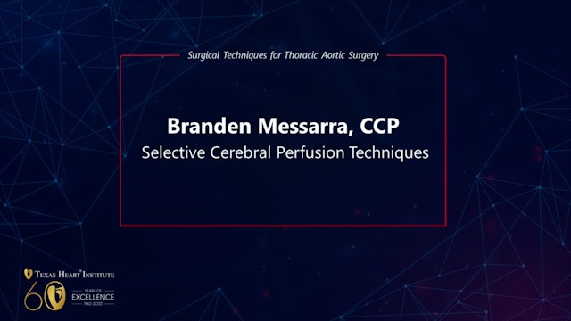 Selective Cerebral Perfusion Techniques 