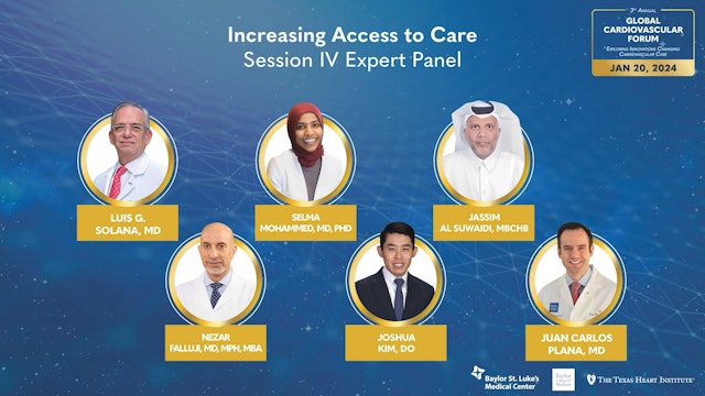 Session IV: Increasing Access to Care