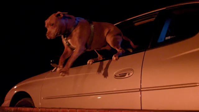 Episode 09 - Super Boo Saves Billy