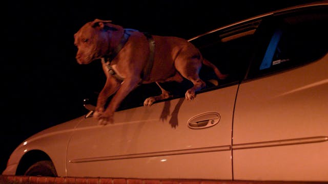 The Trouble With Billy - episode 09