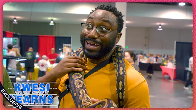 Kwesi Learns About Reptiles