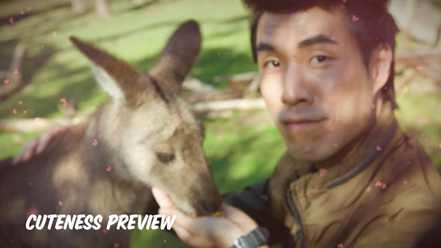 The Try Guys Become Zookeepers For A ...