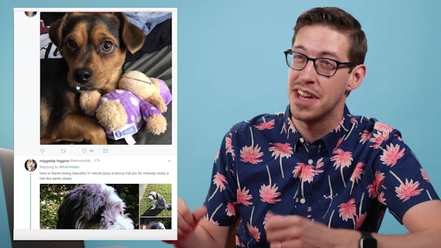 Keith Reviews 101 Puppies • The Barkc...