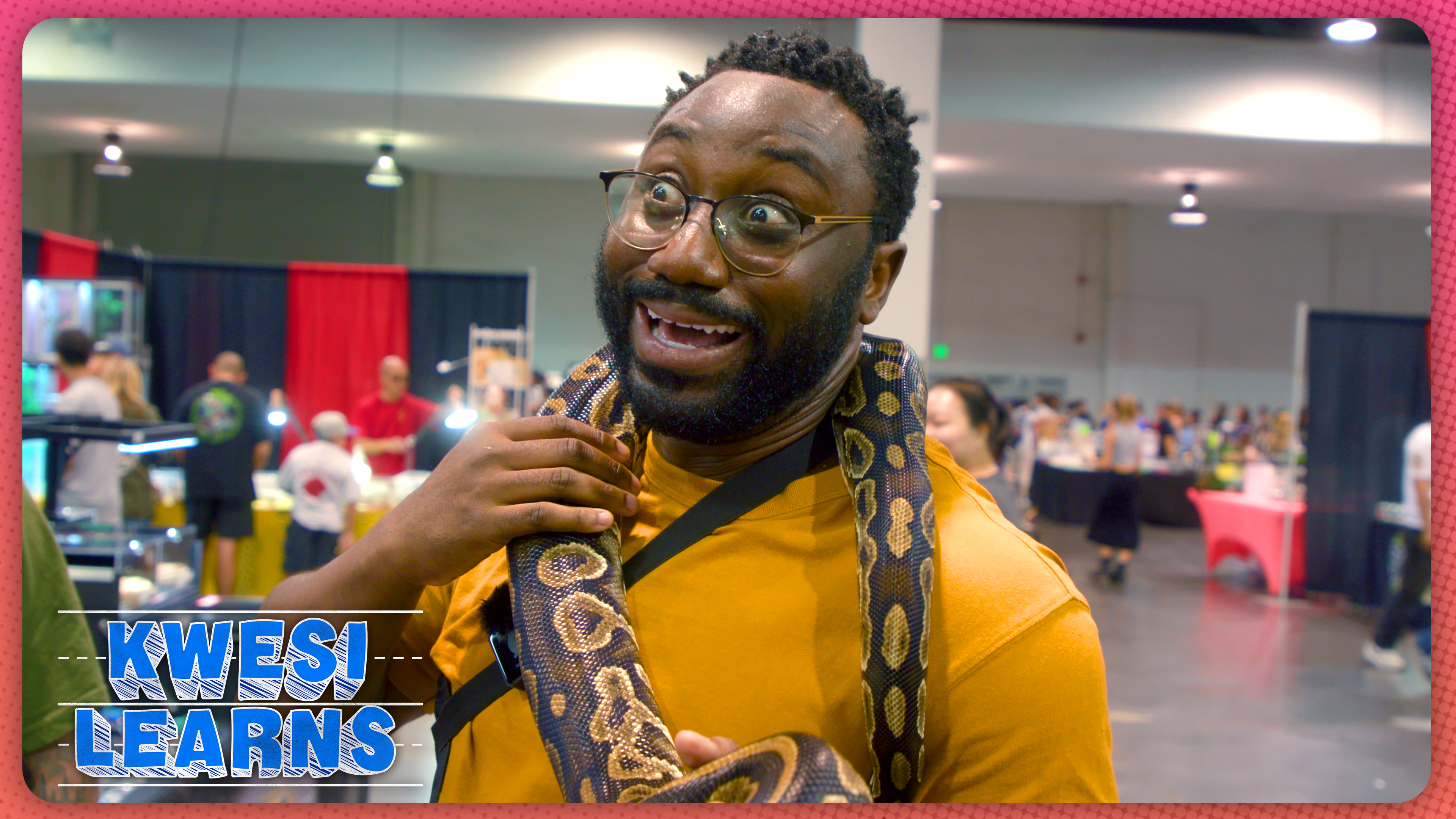 Kwesi Learns About Reptiles