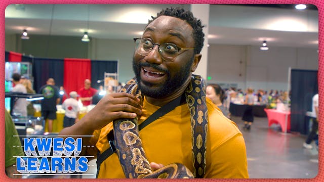 Kwesi Learns About Reptiles