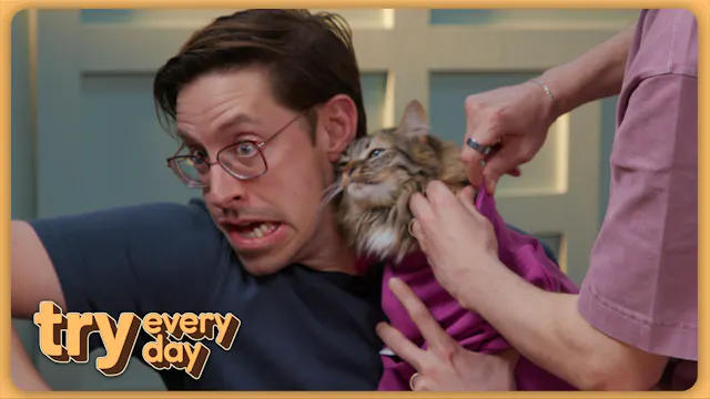 We Tried the Weirdest Pet Products
