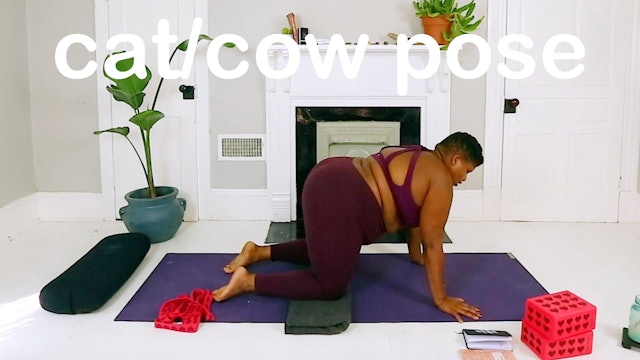 CAT/COW POSE: Spinal Flow