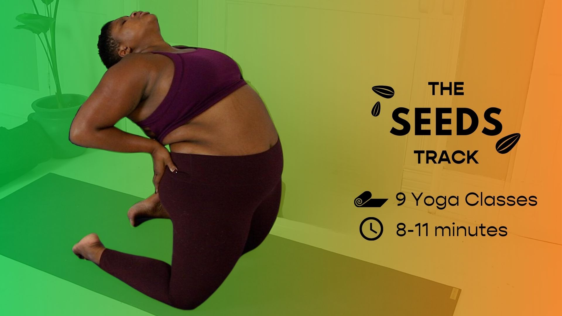 seeds | yoga basics