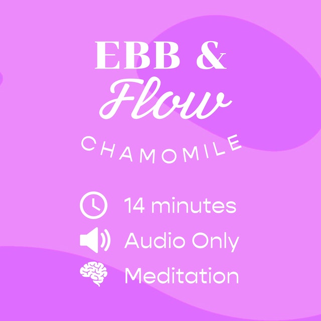 chamomile | meditation