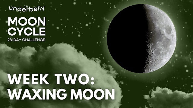 WEEK 2 | Moon Cycle Challenge
