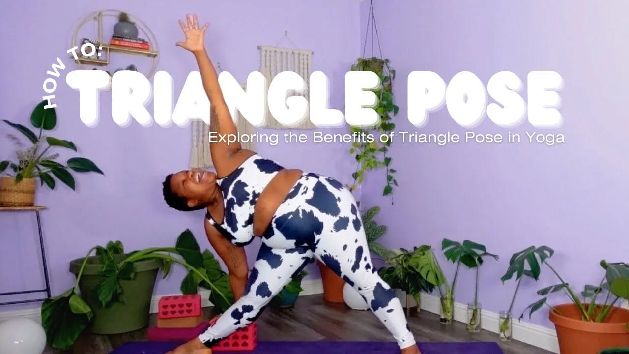 Top Master Triangle triangle pose breakdown - The Underbelly